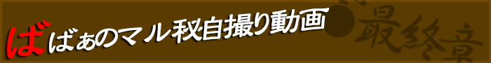 自撮り動画