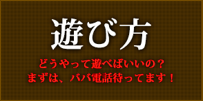 遊び方